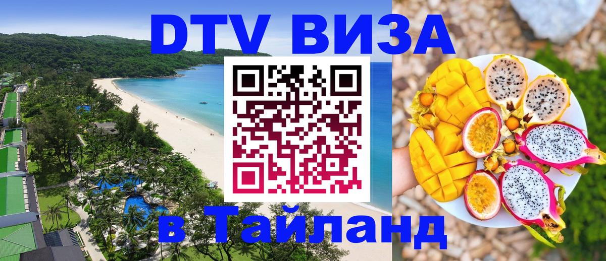 Оформление DTV визы под ключ: стоимость и тарифы, только загранпаспорт - 